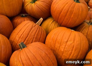 Fresh pumpkin, ready for baking and cooking delicious fall recipes