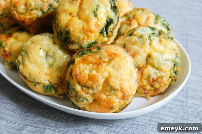 Portable Breakfast Egg Cups 2 Delicious Breakfast Egg Muffins arranged on a white plate, ready to serve.