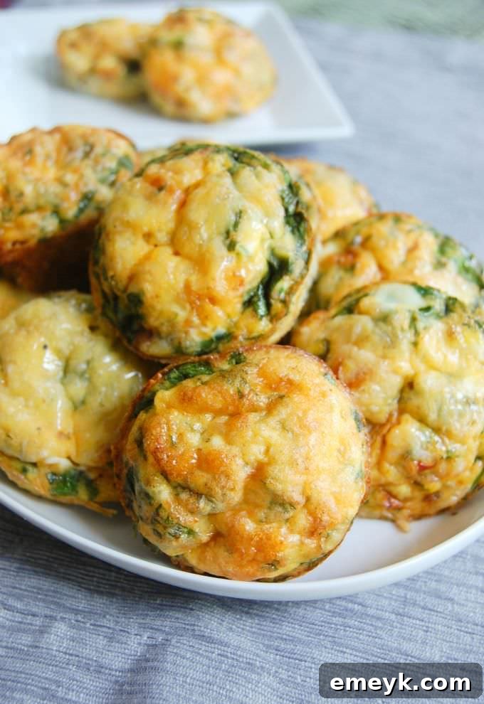Portable Breakfast Egg Cups 3 Close-up of fluffy Breakfast Egg Muffins with visible spinach and cheese.