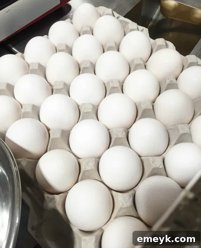 Portable Breakfast Egg Cups 5 A selection of Breakfast Egg Muffins ready for meal prep and storage.