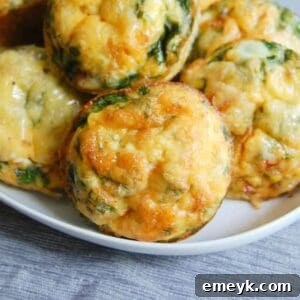 Breakfast Egg Muffins ready to eat