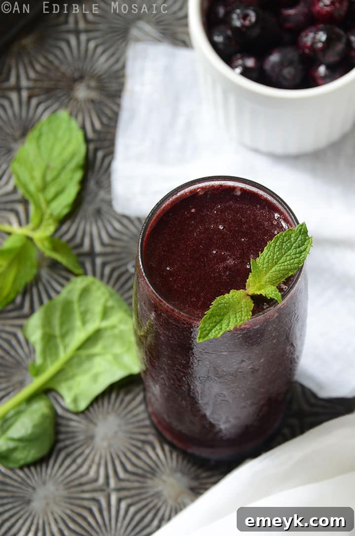 Refreshing Minted Blueberry Balsamic Smoothie in a glass