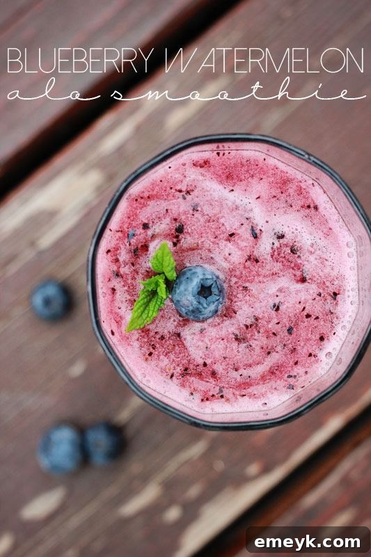 Refreshing Blueberry Watermelon ALO Smoothie