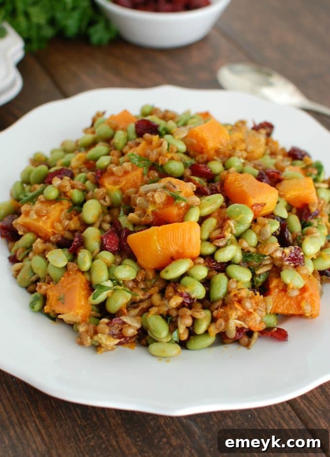 Close-up of Wheat Berries with Butternut Squash, Edamame, and Cranberries in a serving bowl, highlighting textures and colors