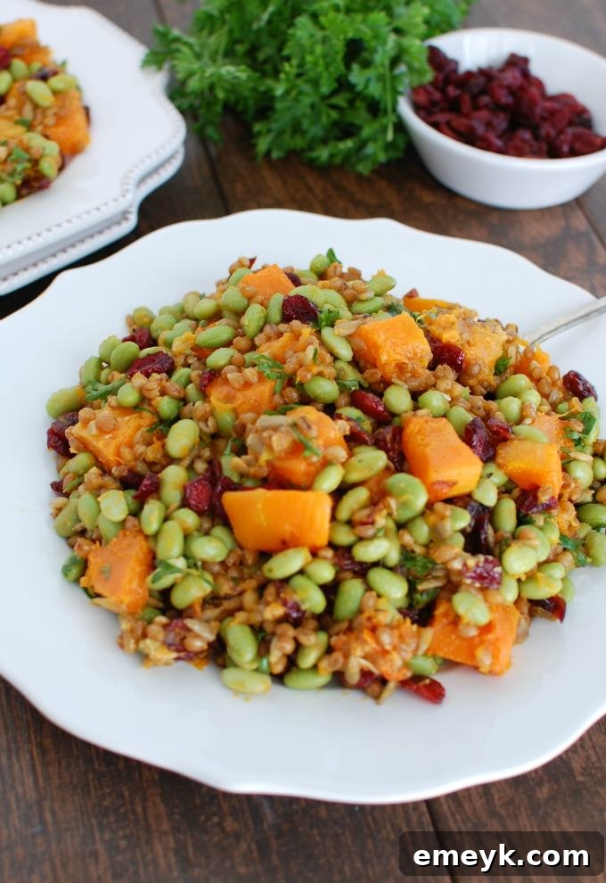 Overhead shot of the colorful Wheat Berry dish, arranged beautifully and ready to be served