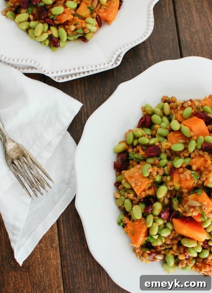 Serving of Wheat Berries with Butternut Squash, Edamame, and Cranberries in a small bowl, suitable for lunch or a healthy snack
