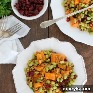 Wheat Berries with Butternut Squash, Edamame, and Cranberries recipe image