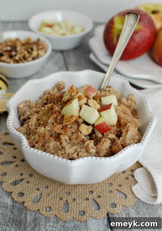 Cozy Slow Cooker Apple Pie Steel Cut Oatmeal with apple slices and cinnamon