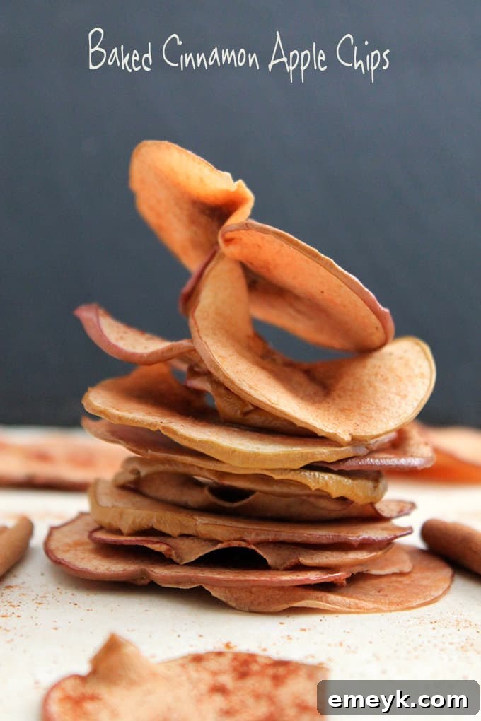 Crispy Baked Cinnamon Apple Chips with a sprinkle of spice