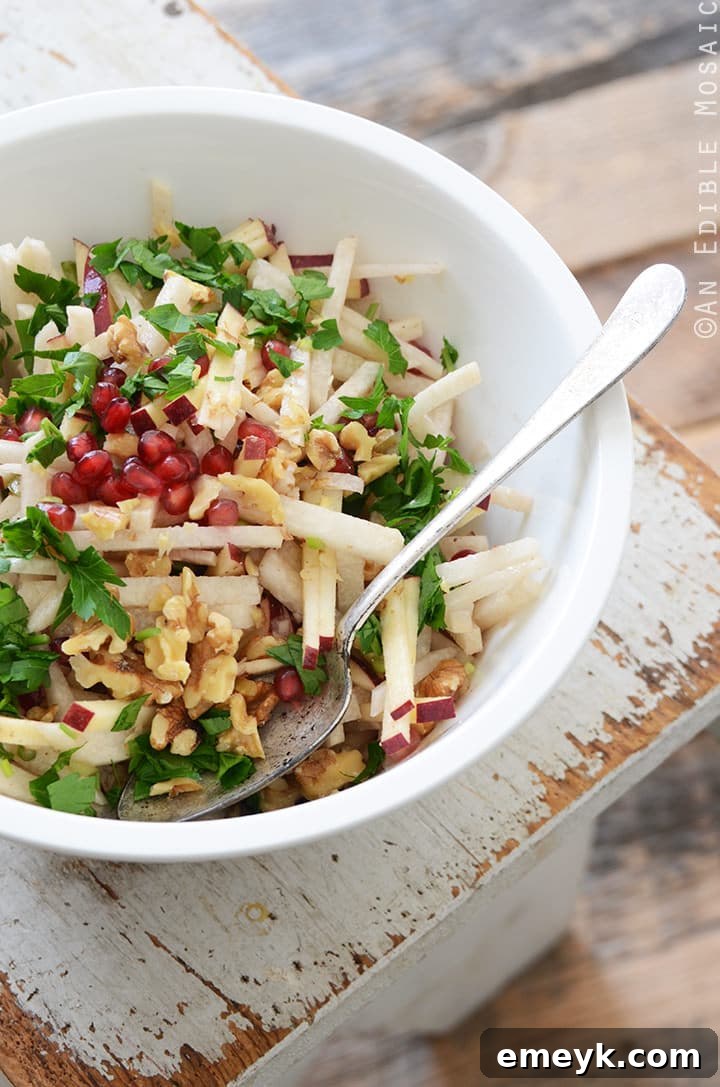 Fresh Jicama Apple and Pomegranate Salad with vibrant dressing