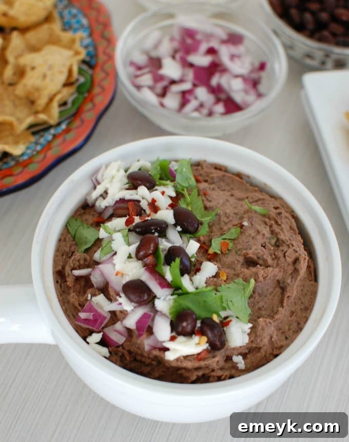 Ingredients for Black Bean Dip displayed on a rustic surface