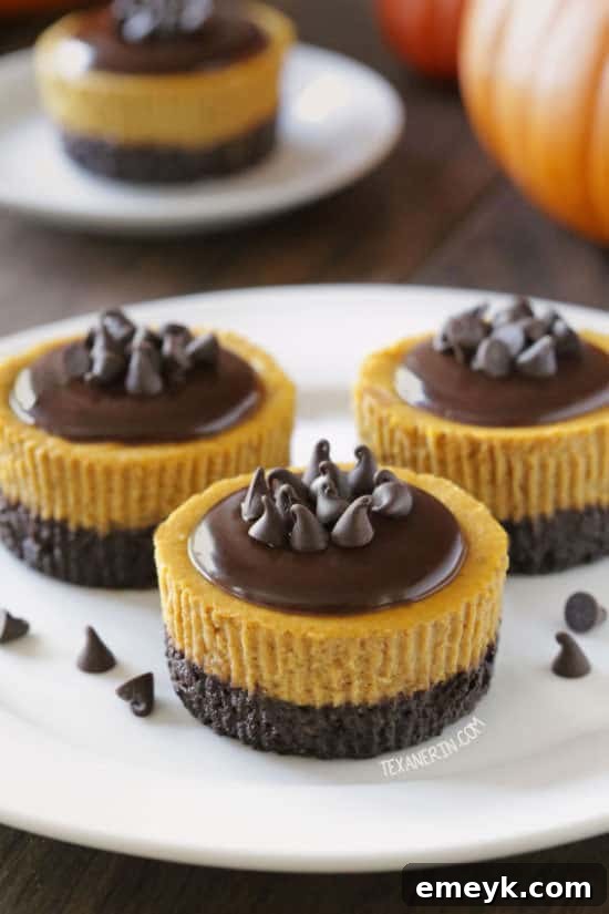 Irresistible Thanksgiving Treats 18 Mini pumpkin cheesecakes in individual serving sizes, garnished with whipped cream and spices.