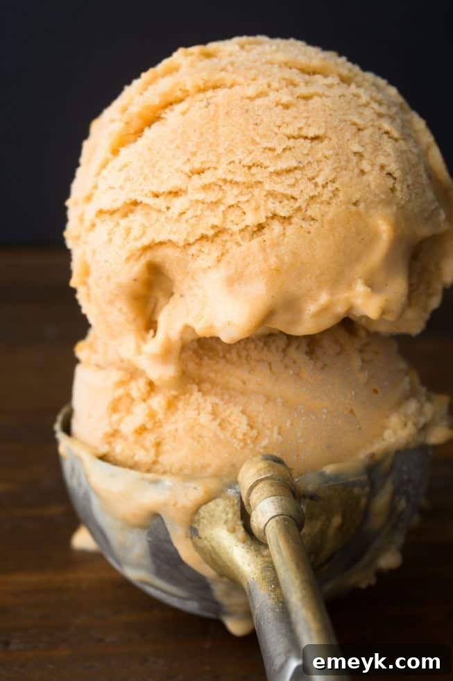 Irresistible Thanksgiving Treats 8 Scoops of homemade pumpkin pie ice cream, spiced and creamy, served in a bowl.