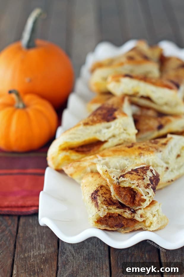 Irresistible Thanksgiving Treats 10 Flaky pumpkin pie pastry pockets, baked until golden brown and dusted with powdered sugar.