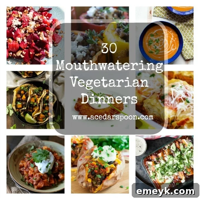 A vibrant spread of various vegetarian dinner dishes, showcasing different colors and textures, inviting viewers to explore the recipes.