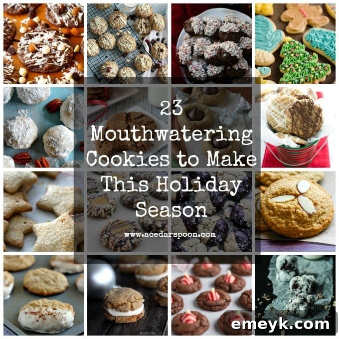 A festive array of 23 mouthwatering holiday cookies, perfect for Christmas baking and seasonal celebrations.