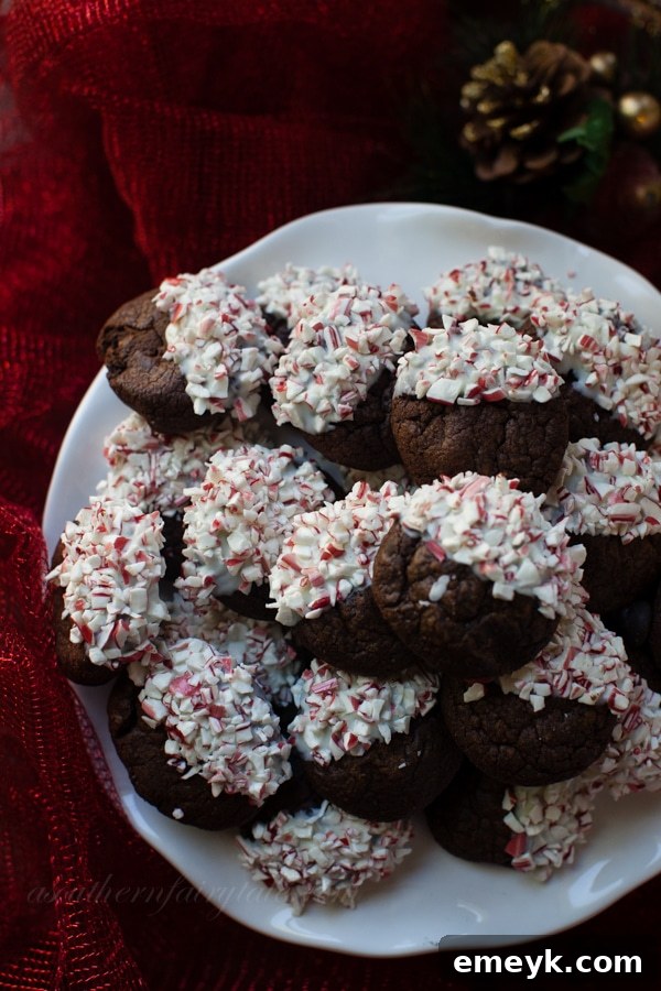 Rich Candy Cane Dipped Dark Chocolate Cookies, a refreshing and festive holiday treat.