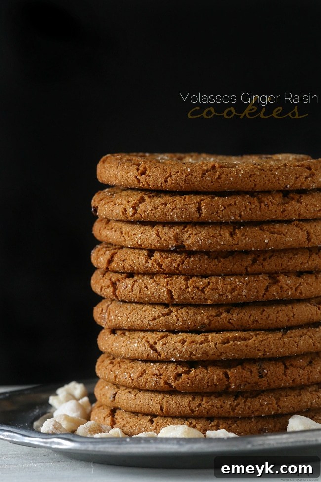 Chewy Molasses Ginger Raisin Cookies, a hearty and spiced holiday cookie with dried fruit.