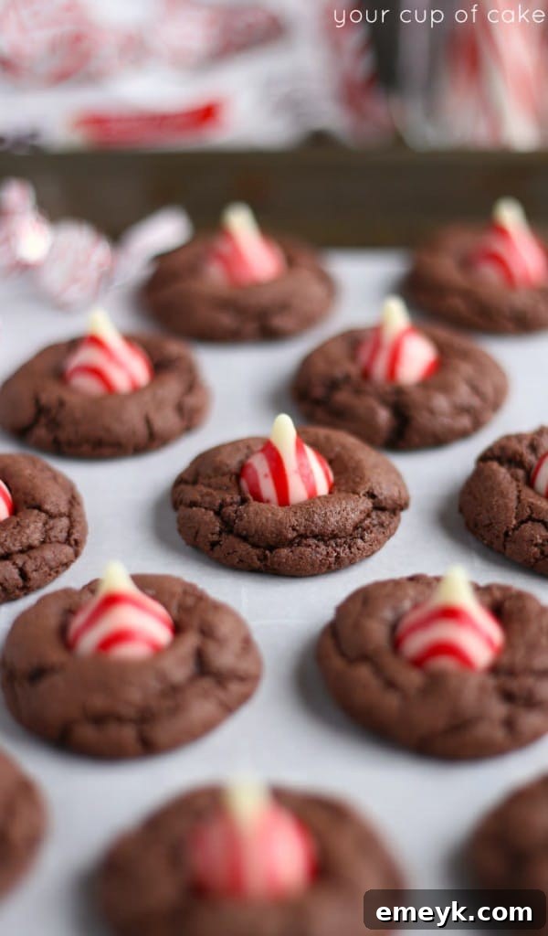 Easy 4-Ingredient Christmas Cookies, a simple and quick recipe for festive holiday baking.
