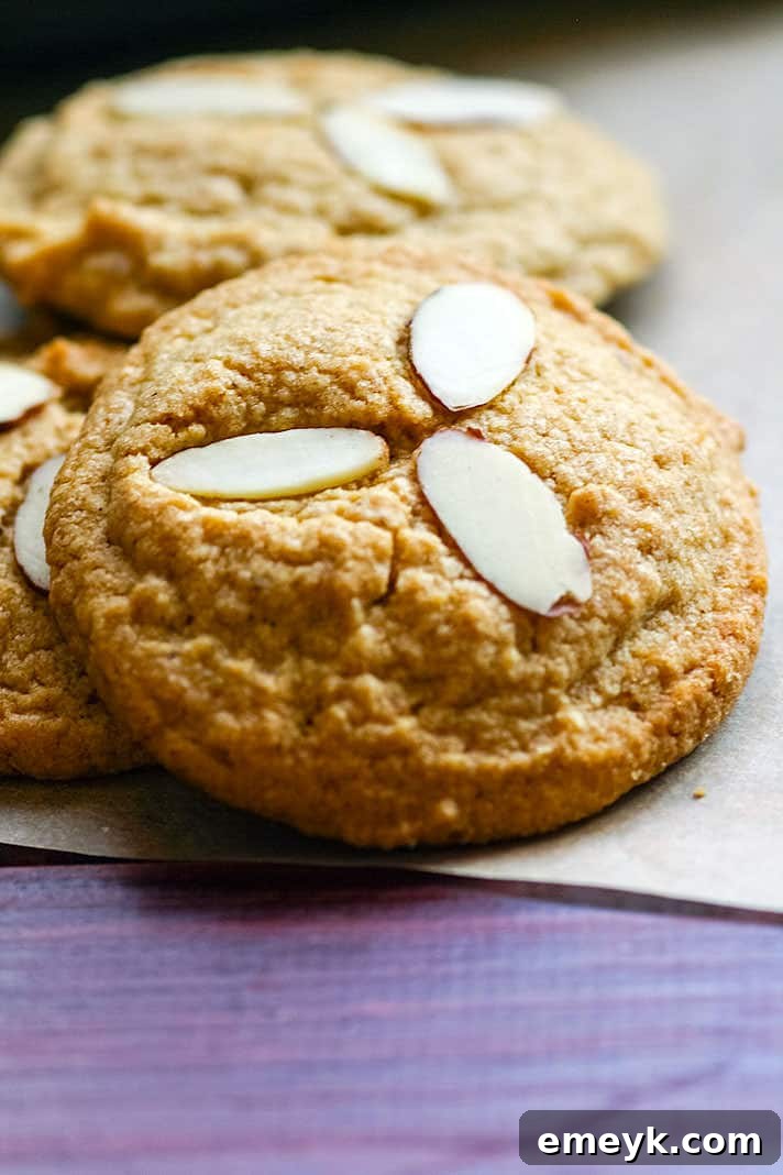 Healthy Cinnamon Spiced Almond Paleo Sugar Cookies, a gluten-free and paleo-friendly holiday treat.