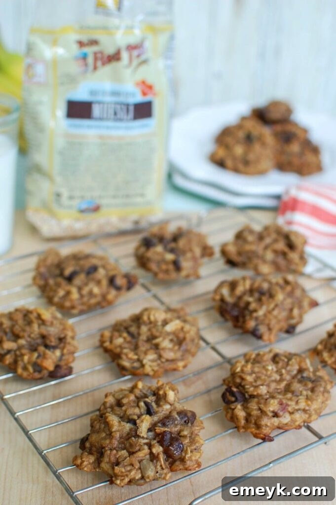 Wholesome Banana Muesli Breakfast Cookies 2 Soft and chewy Banana Muesli Breakfast Cookies arranged invitingly on a wooden board
