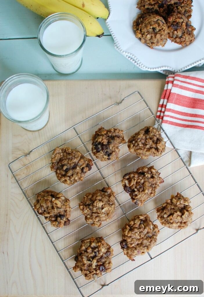 Wholesome Banana Muesli Breakfast Cookies 3 A close-up view of a Banana Muesli Breakfast Cookie, highlighting its healthy ingredients like oats and nuts