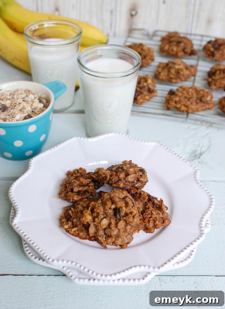 Wholesome Banana Muesli Breakfast Cookies 4 Three Banana Muesli Breakfast Cookies stacked neatly, showcasing their wholesome ingredients