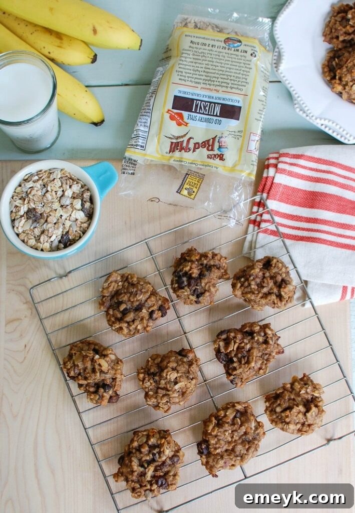 Wholesome Banana Muesli Breakfast Cookies 5 An array of Banana Muesli Breakfast Cookies arranged artfully, inviting a taste