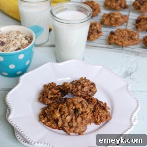Wholesome Banana Muesli Breakfast Cookies 6 Banana Muesli Breakfast Cookies - a healthy treat