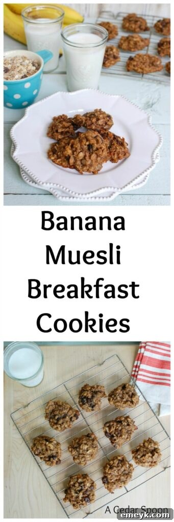 Wholesome Banana Muesli Breakfast Cookies 7 A large batch of freshly baked Banana Muesli Breakfast Cookies, ready to be enjoyed
