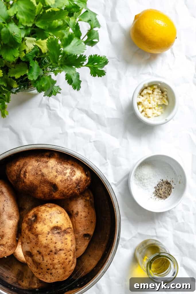 Lemon Cilantro Roasted Potatoes recipe ingredients
