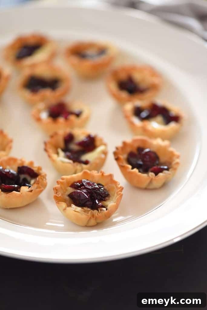 Cranberry Brown Sugar Brie Bites, a sweet and savory baked cheese appetizer