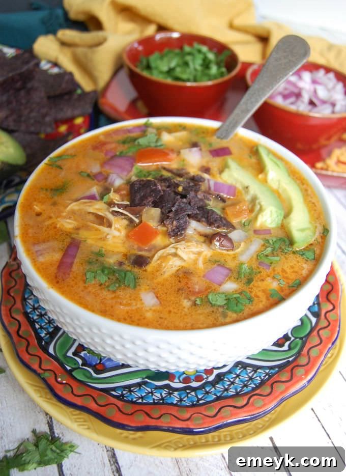 My 15 Standout Recipes from 2015 17 A steaming bowl of Slow Cooker Mexican Cheesy Chicken Soup, generously topped with avocado, red onions, and fresh tomatoes.