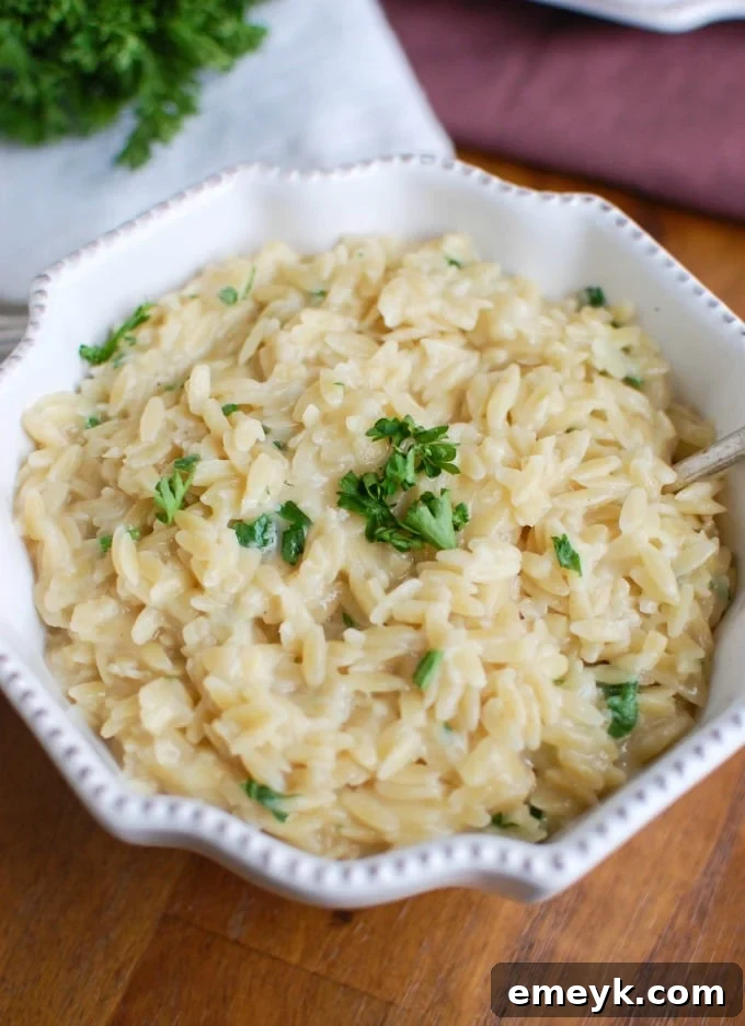 Ingredients for 4-Ingredient Cheesy Orzo displayed in a bowl.