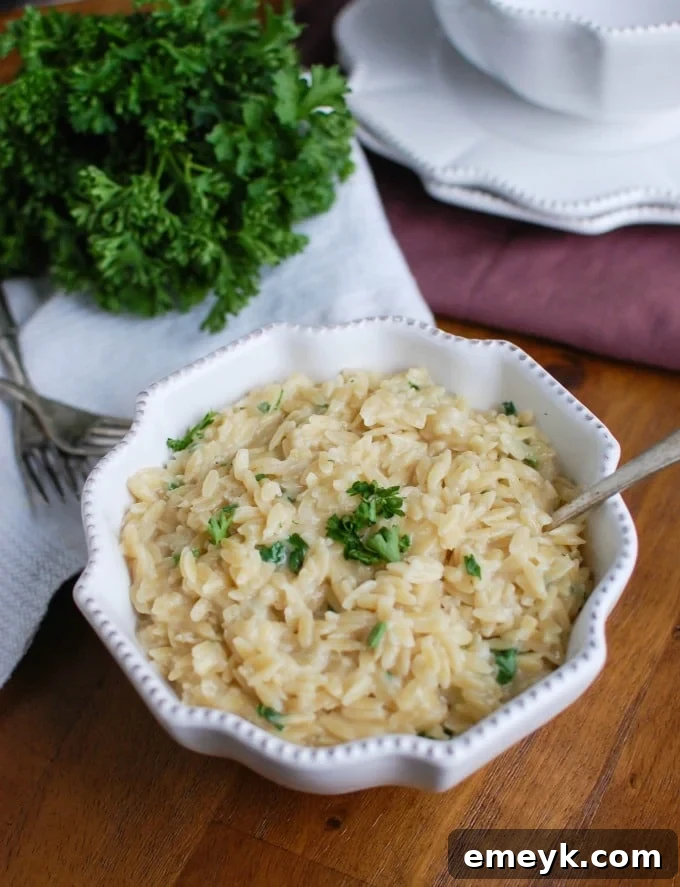 A serving of 4-Ingredient Cheesy Orzo with a spoon, ready to eat.