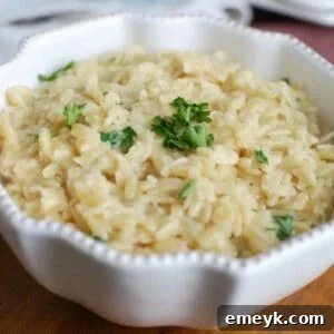 A bowl of the 4-Ingredient Cheesy Orzo, ready to serve.