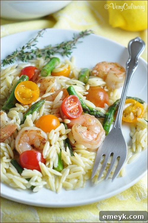 Close-up of a bowl of Lemon Mustard Orzo Salad with Shrimp and Asparagus, garnished with fresh dill