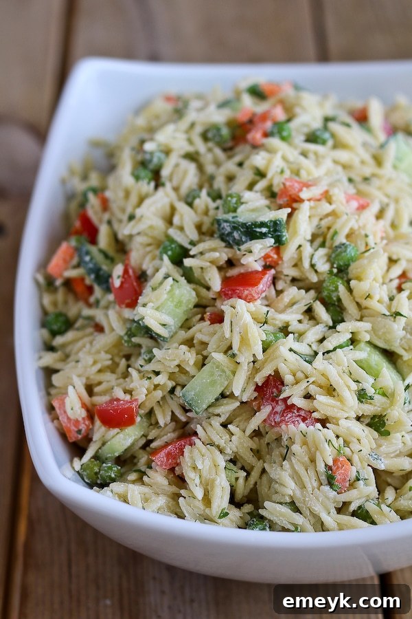 A rustic bowl of Orzo Salad with Yogurt Dill Dressing, showing fresh herbs and a creamy dressing