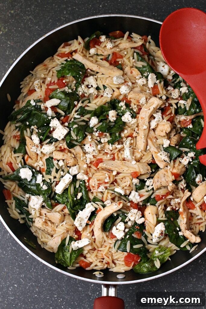 Chicken Spinach & Orzo Skillet, showing pasta, chicken pieces, and wilted spinach in a pan
