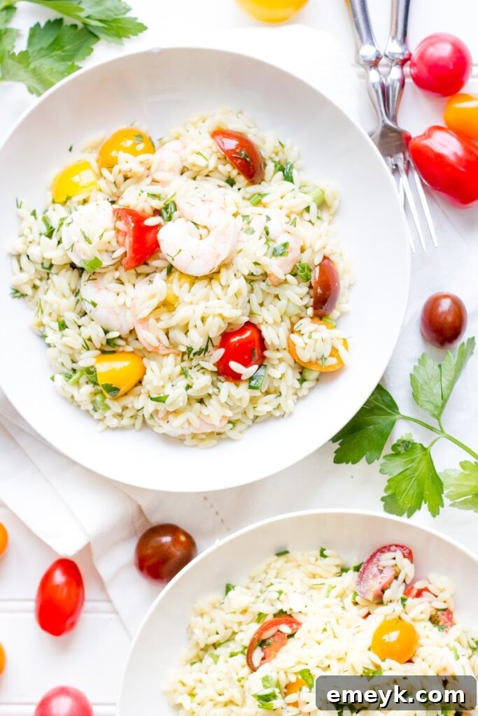 Bright and colorful Lemon Orzo Shrimp and Tomatoes, served in a skillet, highlighting fresh ingredients