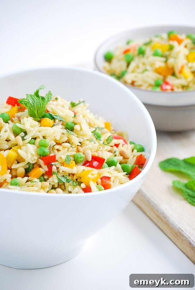 A vibrant bowl of Roasted Vegetable Orzo Salad, with colorful roasted veggies and orzo