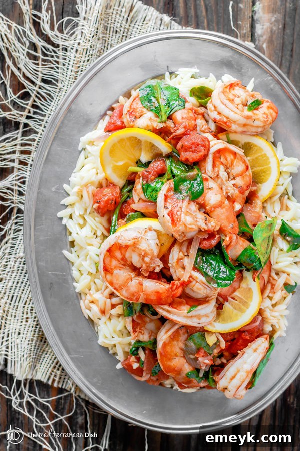 A bowl of Garlic-Tomato Shrimp with Orzo, showing plump shrimp and pasta in a rich tomato sauce
