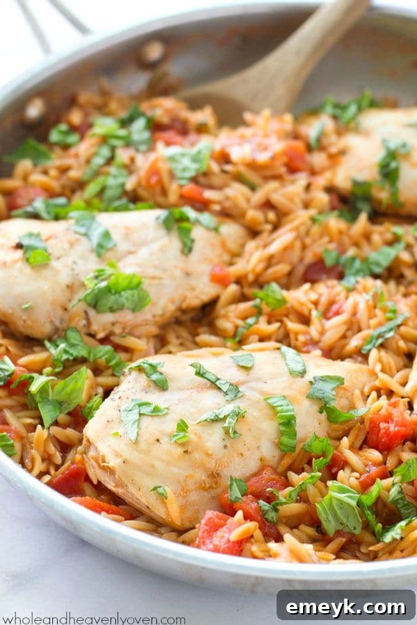 One-Pot Italian Chicken and Orzo Pasta in a deep skillet, garnished with fresh herbs