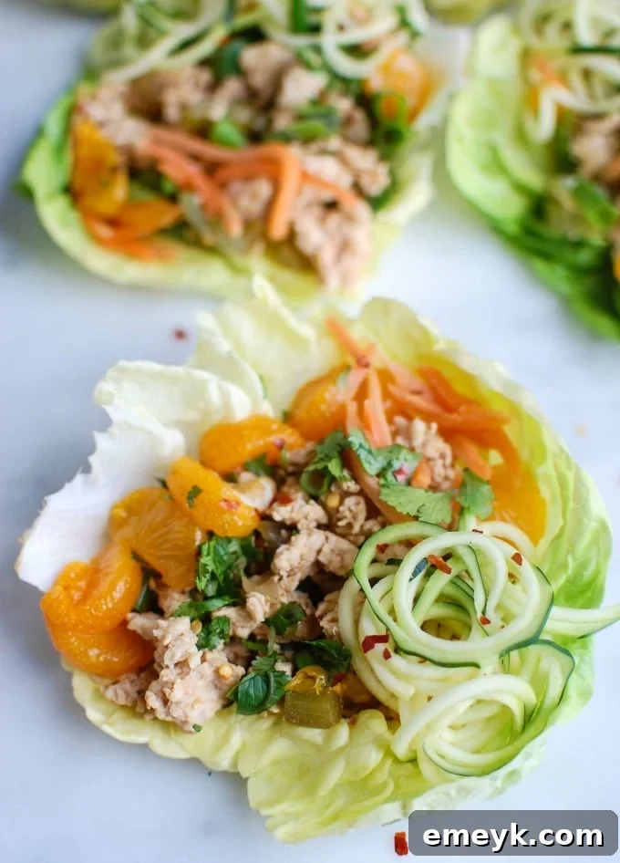 Delicious Asian Chicken Zoodle Lettuce Wraps – a perfect blend of flavors and textures