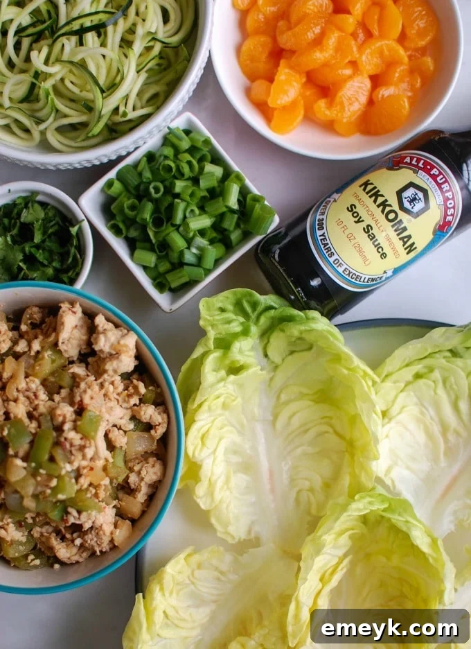 Asian Chicken Zoodle Lettuce Wraps - light, fresh, and healthy meal option