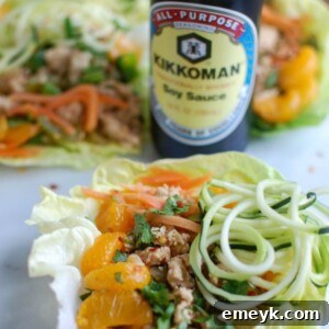 Delicious Asian Chicken Zoodle Lettuce Wraps