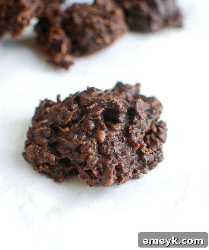 Close-up of a single No Bake Cookie Recipe on a white background, highlighting its rich texture and delicious appeal.