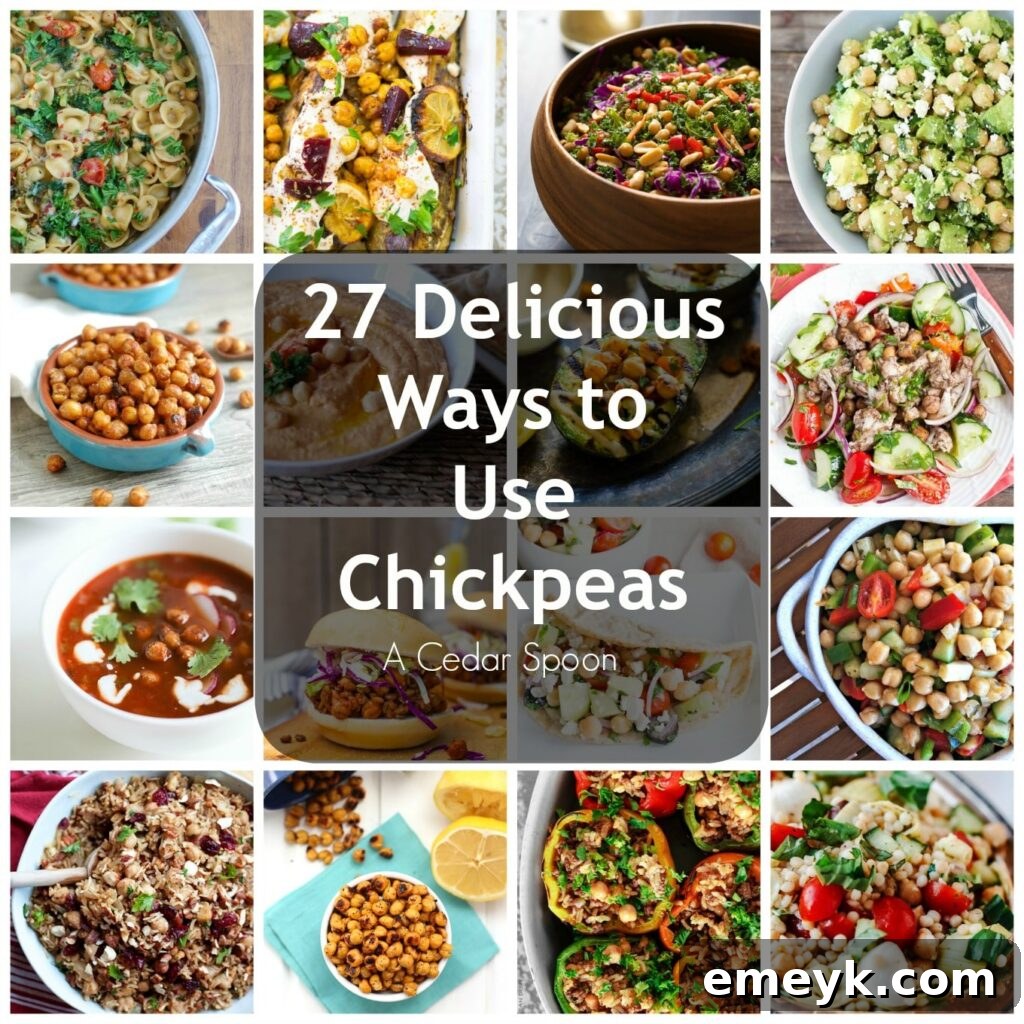 A collection of delicious chickpea dishes, showcasing versatility and health benefits.