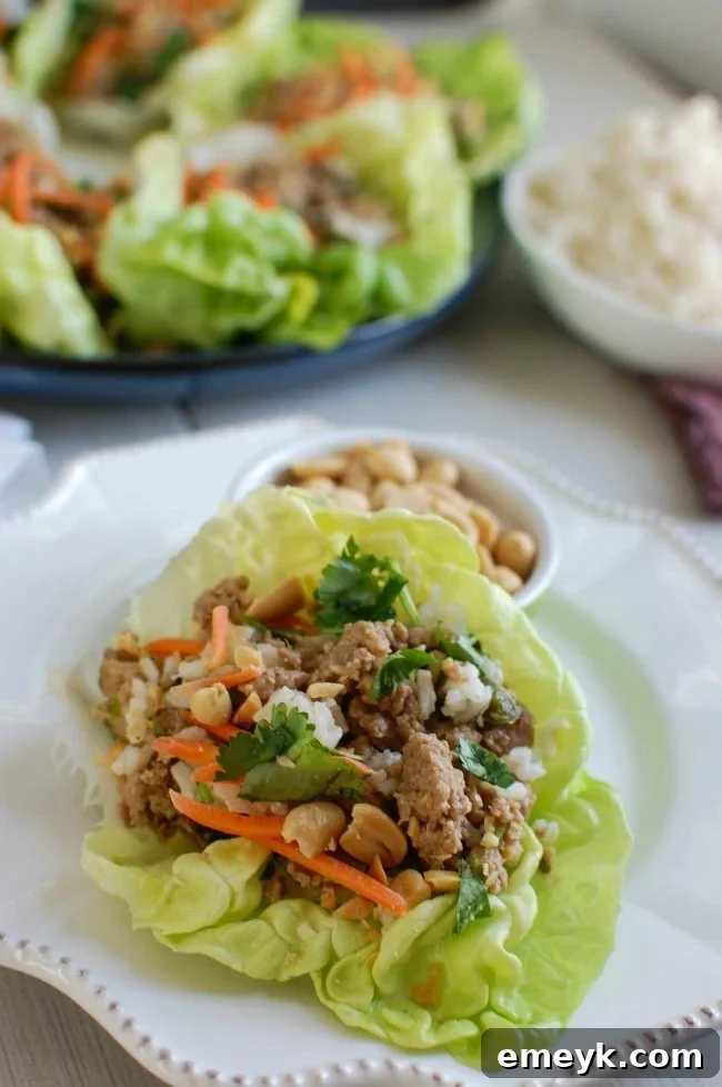 A serving of Thai Turkey Brown Rice Lettuce Wraps showcasing the vibrant colors and fresh ingredients, highlighting it as a healthy meal option