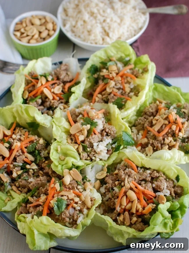 A close-up shot of a single Thai Turkey Brown Rice Lettuce Wrap, perfectly filled and garnished, ready to be eaten as a healthy meal